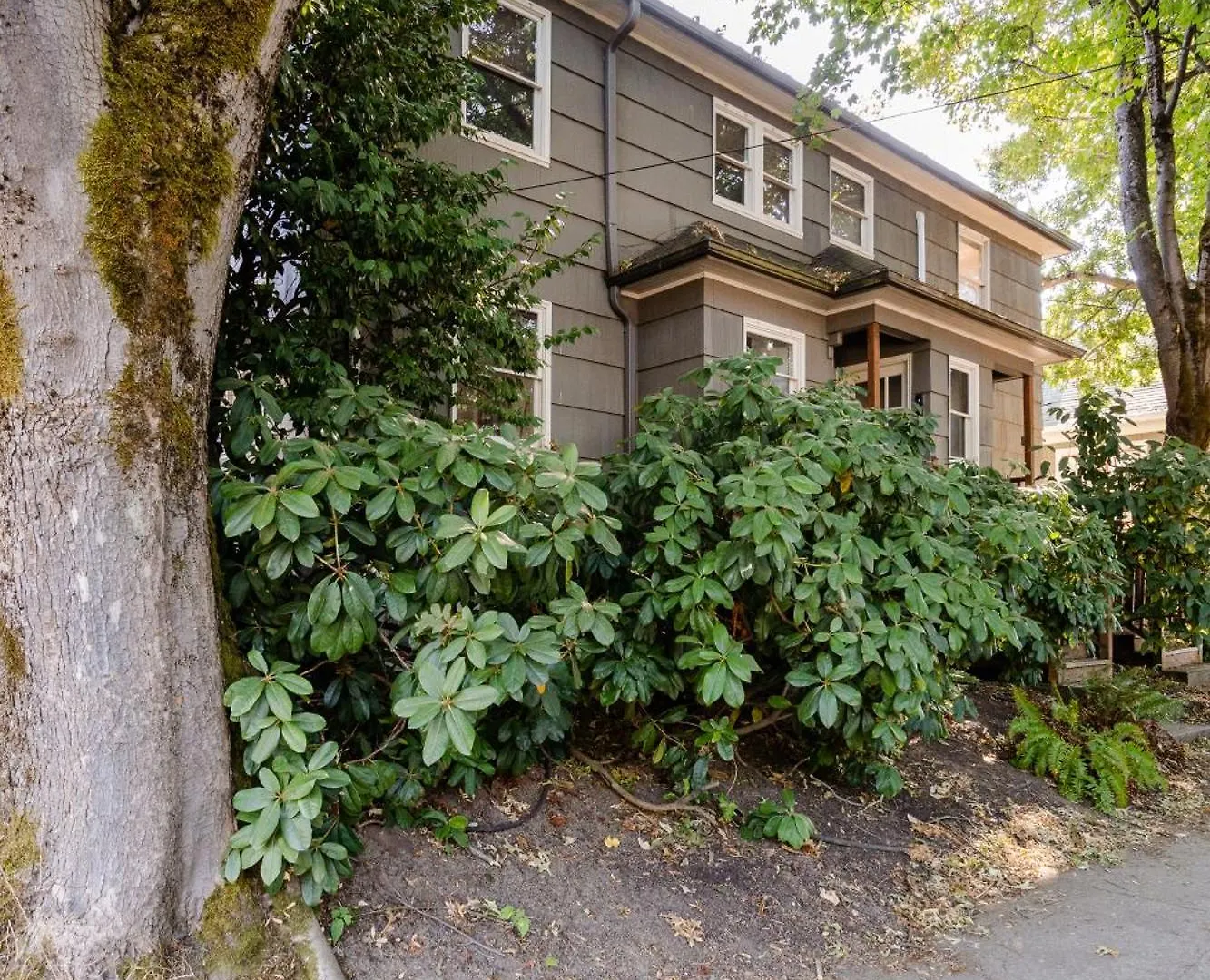 Stay Portland - 1892 Bohemian Dream Studio In Ladd'S Addition ABD